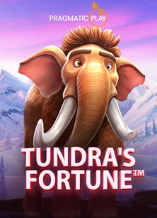 สัมผัสความสนุกแบบจัดเต็มกับ www slot